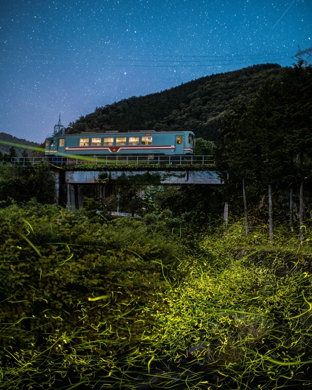 蛍列車②（本巣市・樽見鉄道）＠takataro0720