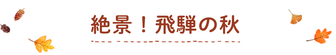 絶景！飛騨の秋