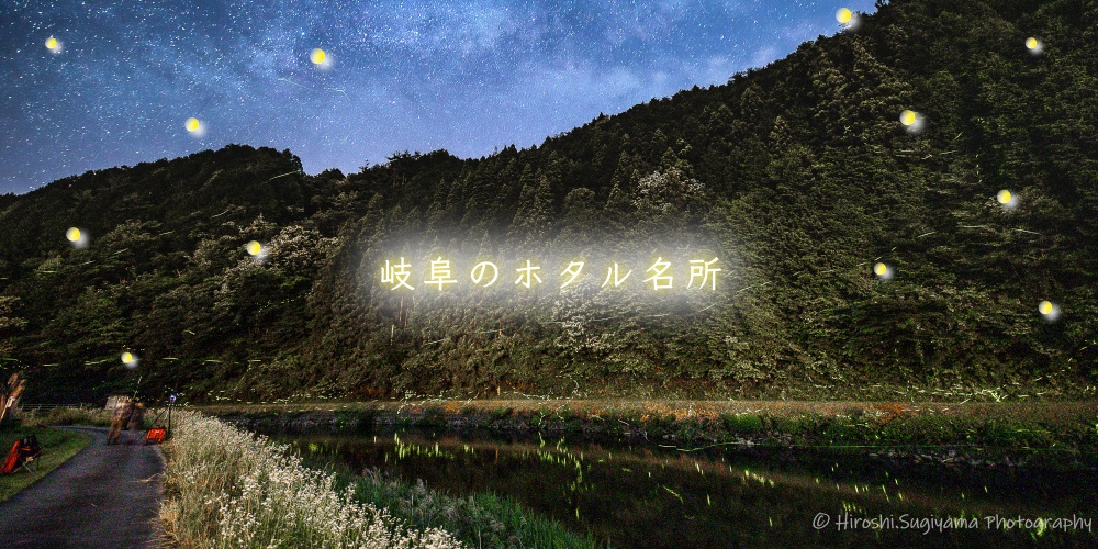 幻想的な光に包まれる!岐阜のホタル名所 2025