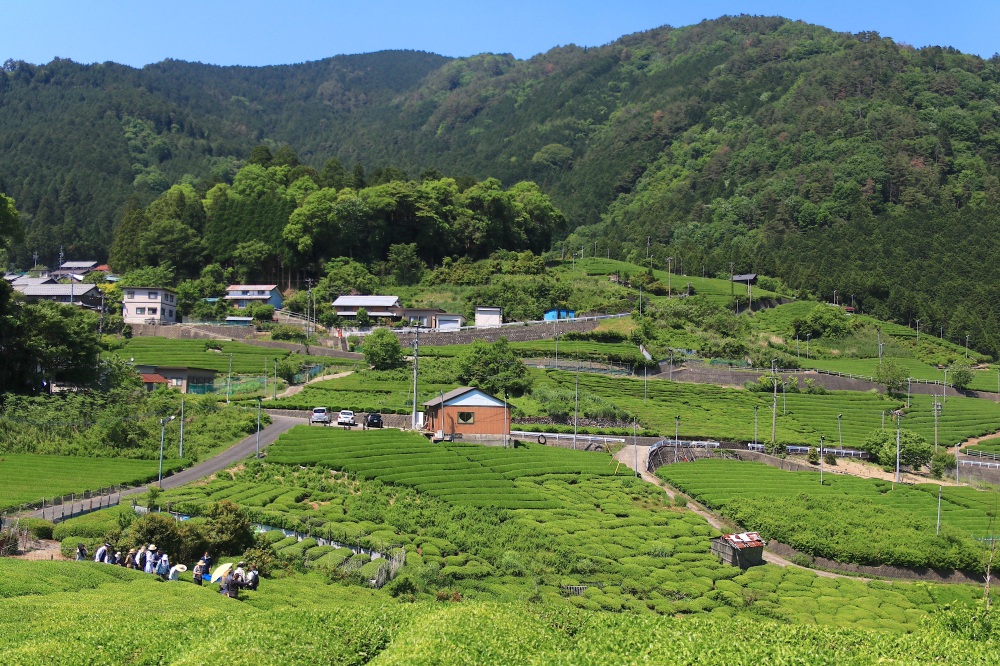 穏やかな時間が流れる日本の原風景