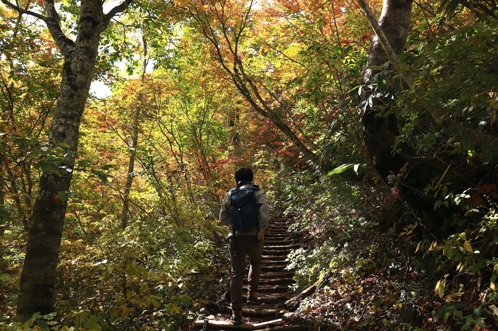 序盤から紅葉のトンネルを歩く