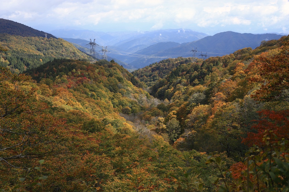 展望ポイントに広がる壮大な景色