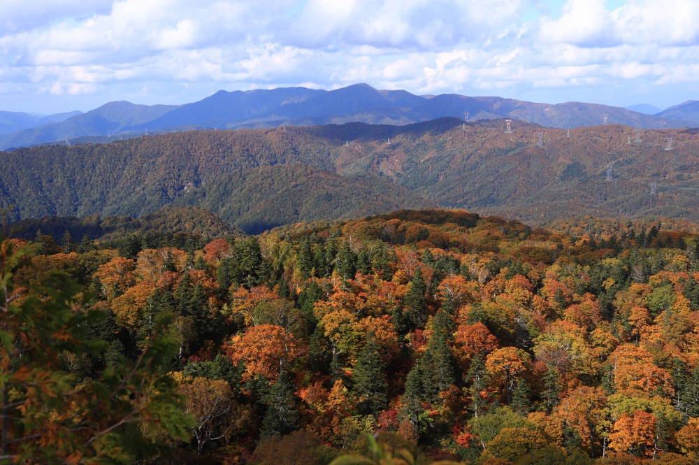 金剛堂山とパッチワークの紅葉