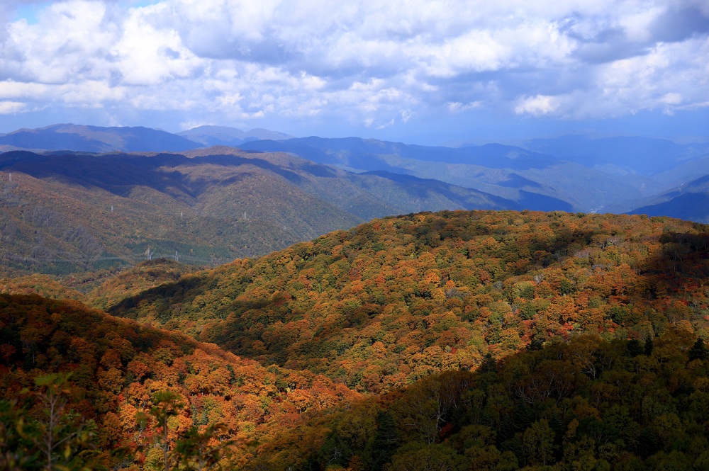 明暗が織りなす極彩色の絶景