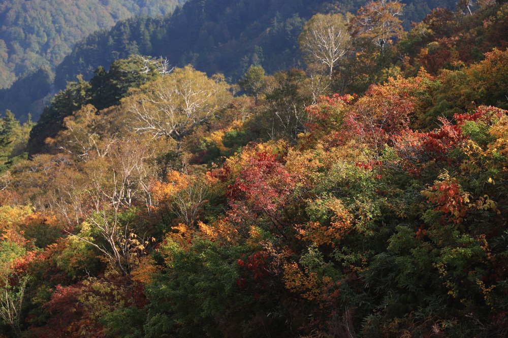 どこかメルヘンチックな紅葉の風景