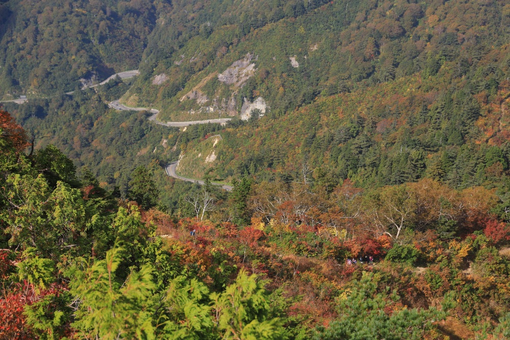 紅葉越しに見下ろす白山白川郷ホワイトロード