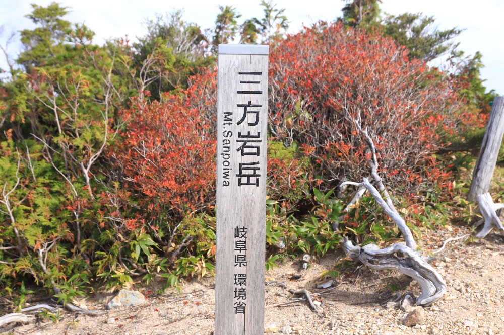 山頂標識のようで、実は違うので注意