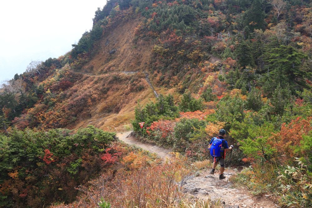 野趣ある道をトラバースして山頂へ