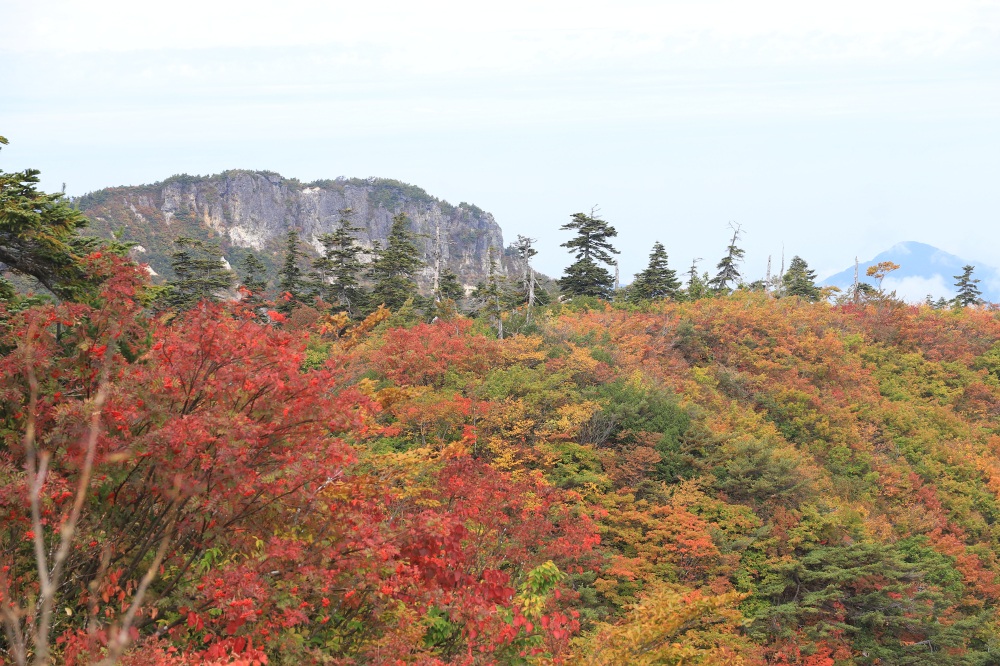 三方岩岳と鮮やかな紅葉のコラボレーション