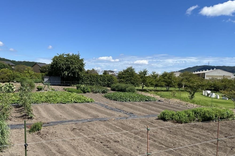 敷地内にある菜園