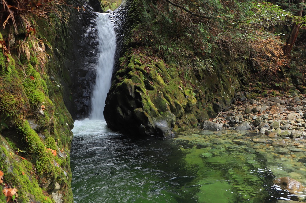 降水量によって趣が変わる、あかがねとよ