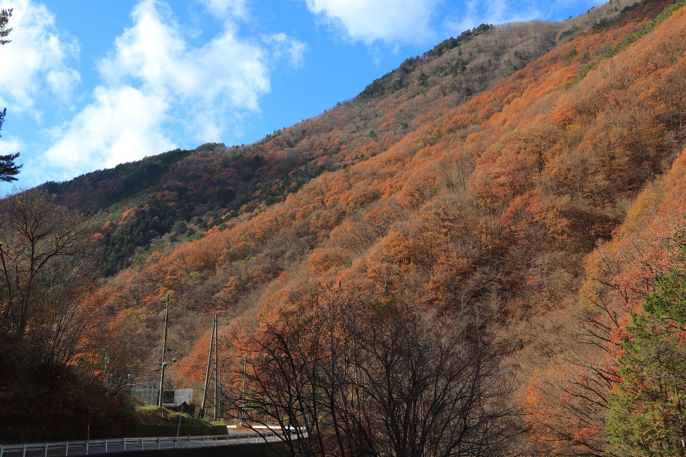 山肌を覆い尽くす紅葉に感動