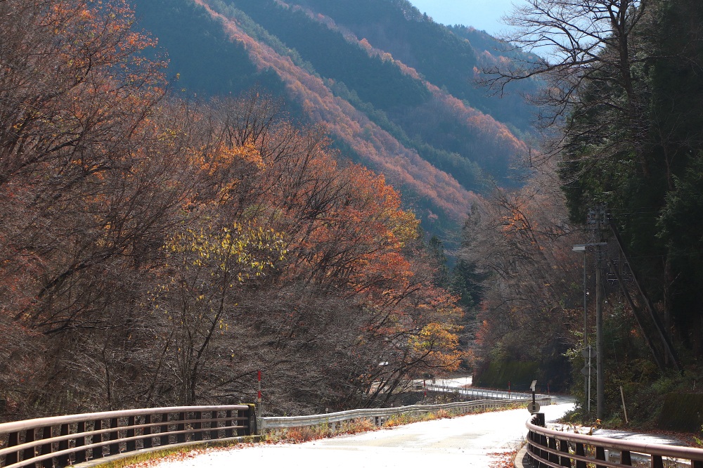 御嶽山麓を下り尽くす爽快なサイクリング