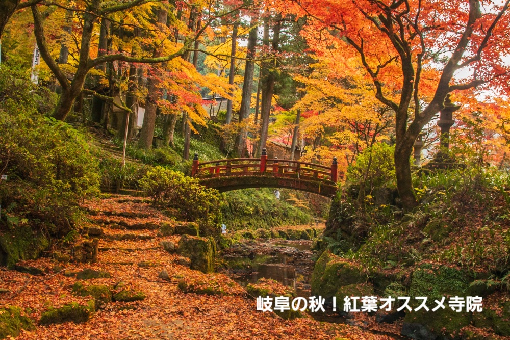 岐阜の秋！紅葉シーズンオススメ絶景の寺院