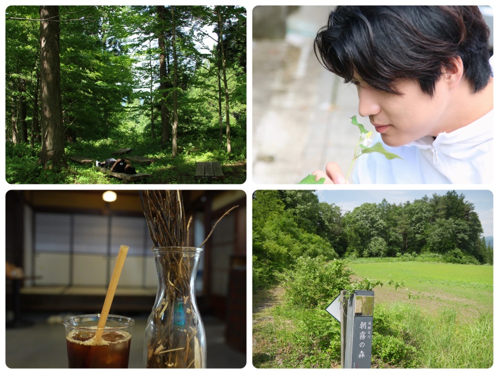 飛騨古川「朝霧の森」