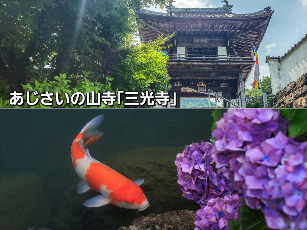 あじさいの山寺 「三光寺」
