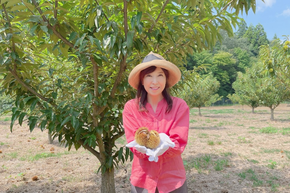 山県市で出会う!秋の味覚とふるさと栗まつり