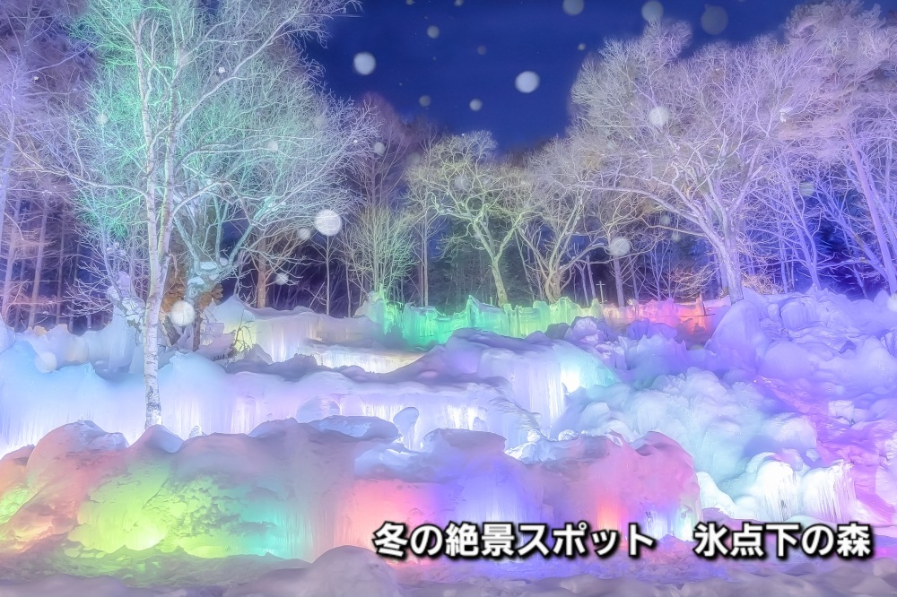 冬の絶景!奇跡の氷の世界「氷点下の森」ライトアップ