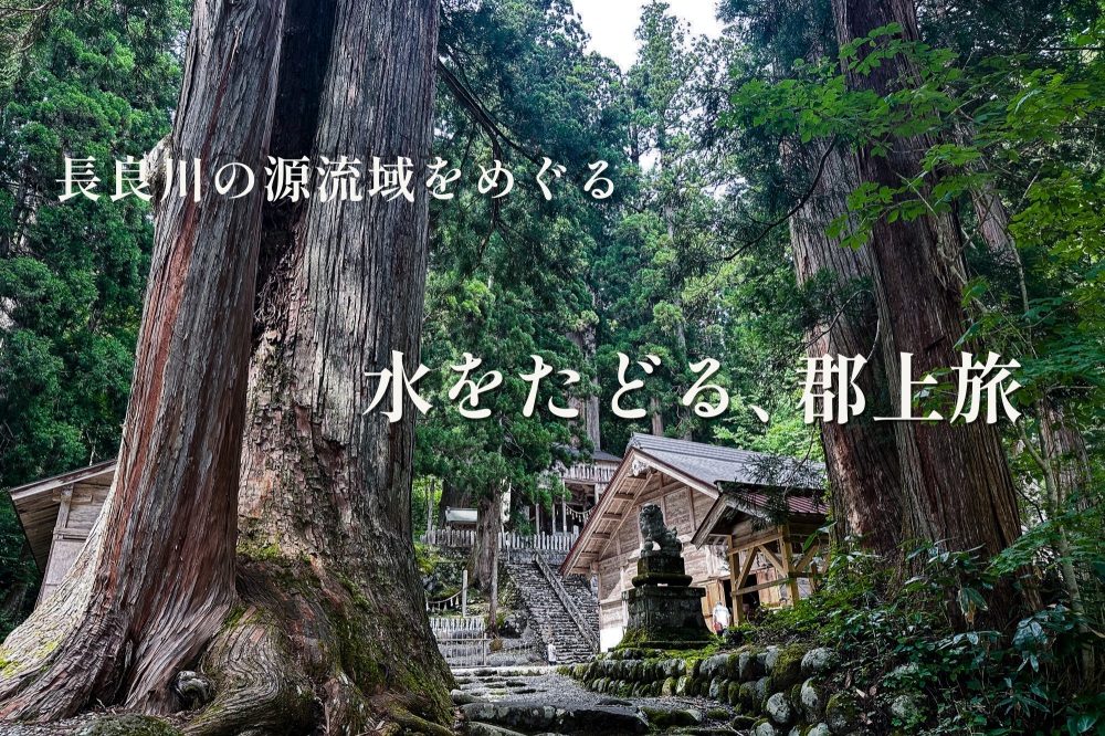長良川の源流域をめぐる郡上ドライブ|白山信仰と清流の恵みを感じる一日旅へ