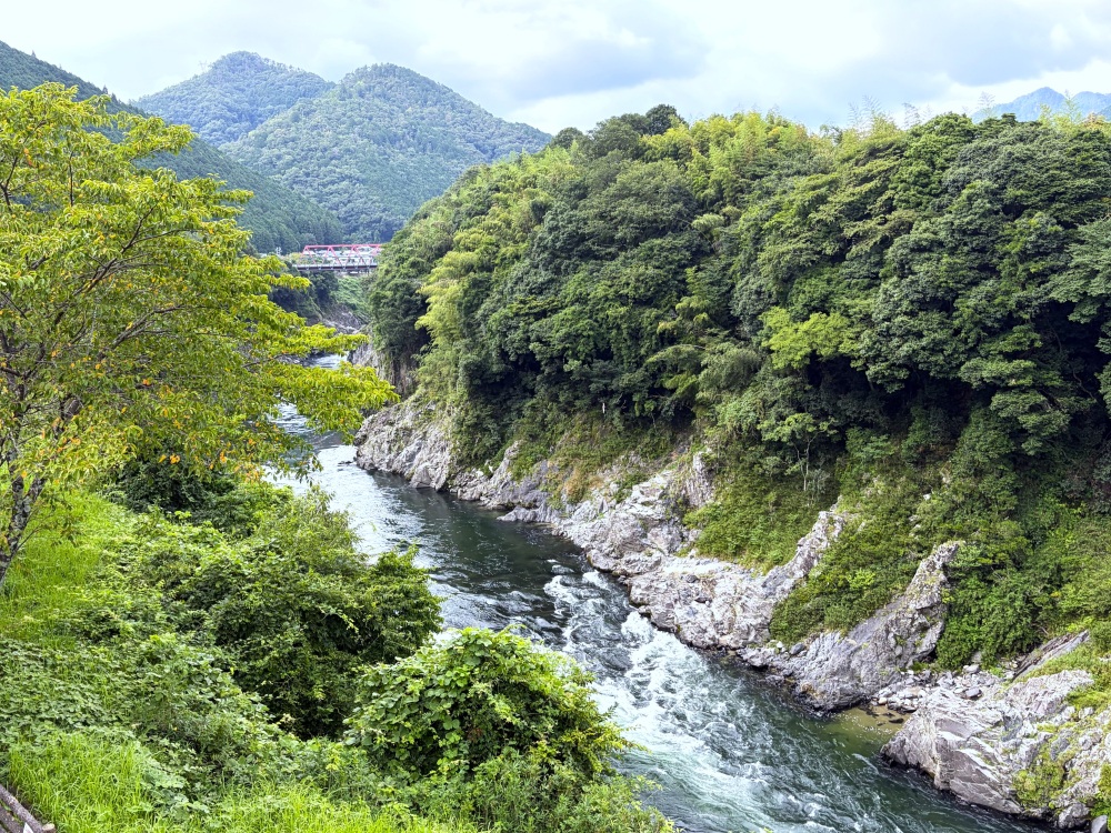 飛騨川が刻んだ渓谷美に出会う旅|遠見山・飛水峡ロックガーデン