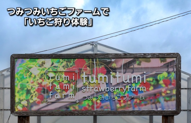 本巣市「つみつみいちごファーム」で岐阜県のブランドいちご「濃姫」のいちご狩り体験！