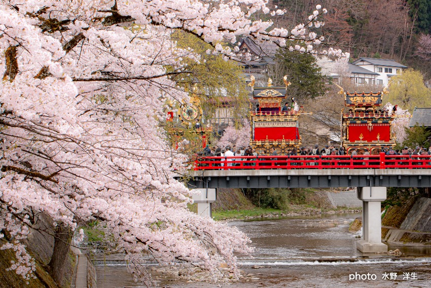 春の高山祭