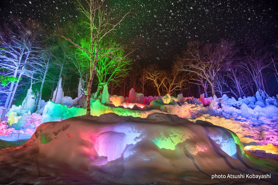 氷点下の森【高山市】