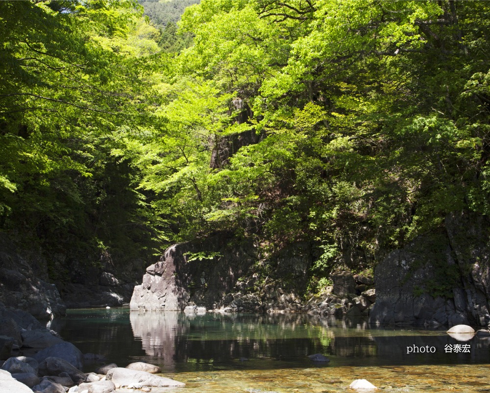 付知峡