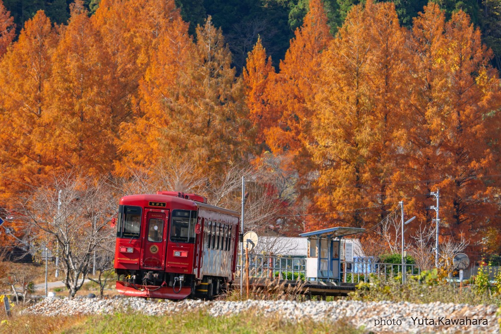 長良川鉄道