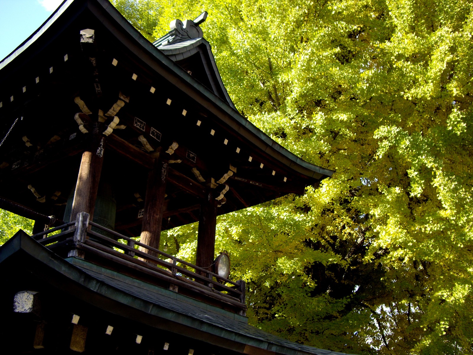 醫王山 飛騨国分寺（高山市）