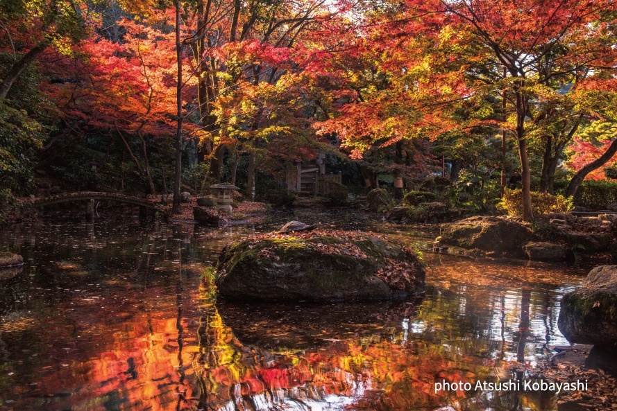 岐阜公園