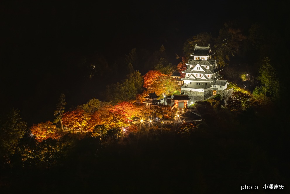 郡上八幡城