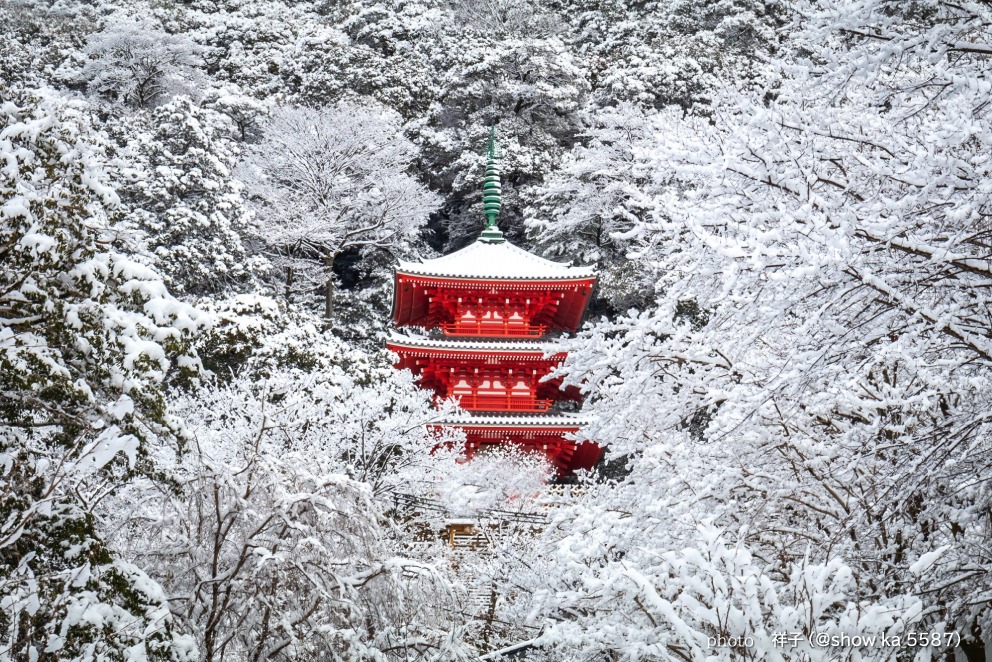 雪の三重塔（岐阜市）