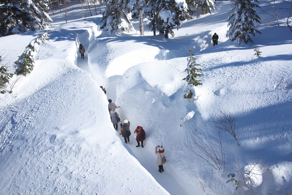 千石園地　雪の回廊（新穂高ロープウェイ）