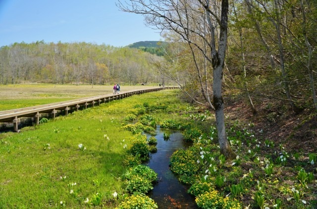 池ヶ原湿原(飛騨市)
