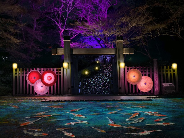 ぎふ灯り物語2026期間限定!岐阜市ならではのライトアップイベント!開催日:1月17日~2月1日●【WEB限定特典付きプラン】