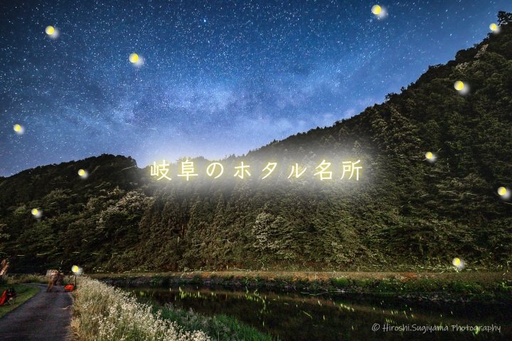 幻想的な光に包まれる!岐阜のホタル名所 2026