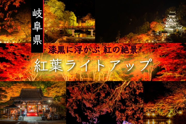幻想的な夜の世界へ!岐阜県の紅葉ライトアップ【2025年】