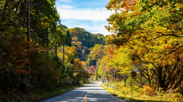 飛騨・美濃せせらぎ街道の紅葉