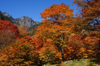 奥飛騨温泉郷の紅葉