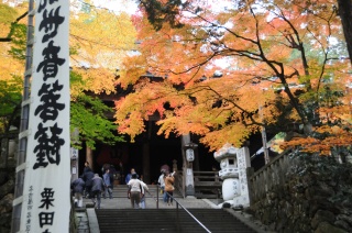 谷汲山華厳寺の紅葉　