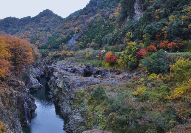 秋:色とりどりの紅葉が美しい、心落ち着く風景です
