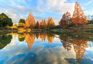 前平公園の紅葉