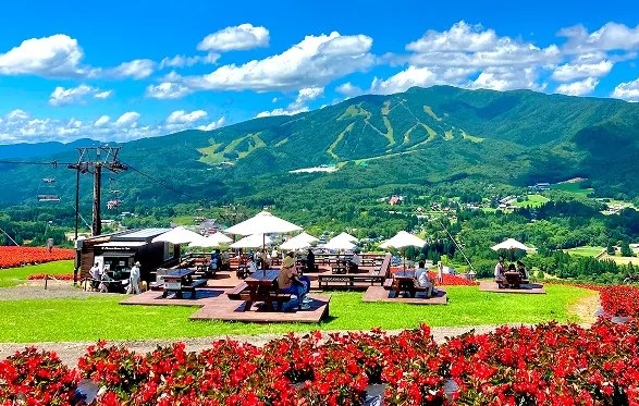 ひるがのピクニックガーデン