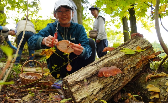 【農泊:郡上市(高鷲)】長良川源流の自然と暮らしを大満喫ツ…