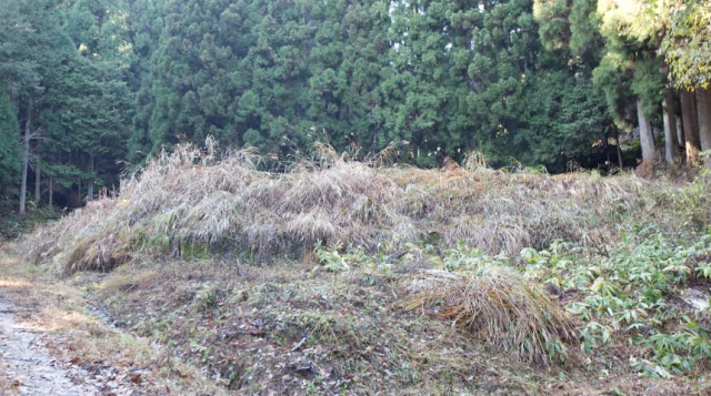 光寿庵跡(日本遺産構成文化財)