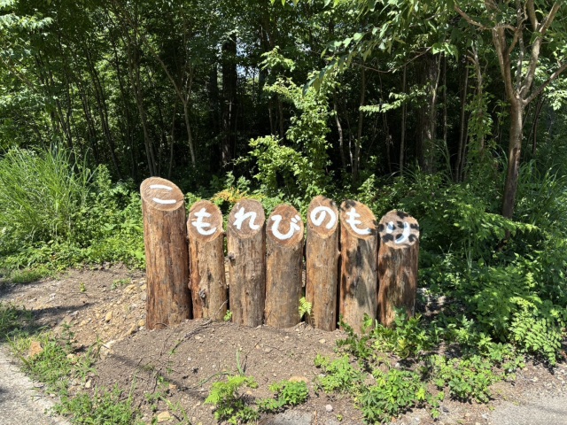 こもれびの森キャンプ荘川