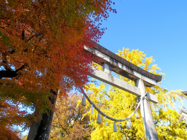 【関市】春日神社の紅葉
